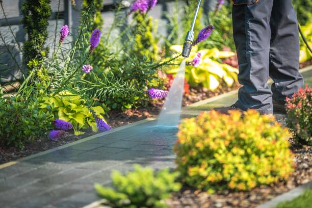 Best Restaurant Pressure Washing  in Morganton, NC
